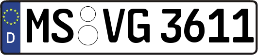 MS-VG3611