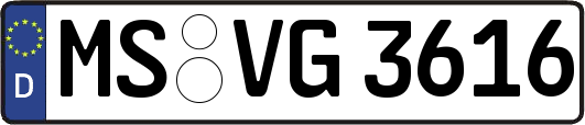 MS-VG3616