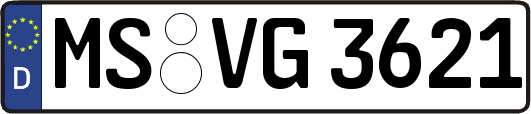 MS-VG3621