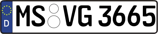 MS-VG3665