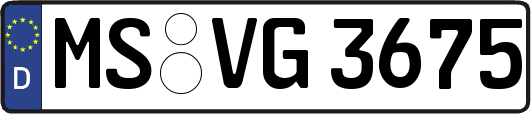 MS-VG3675