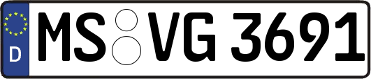 MS-VG3691