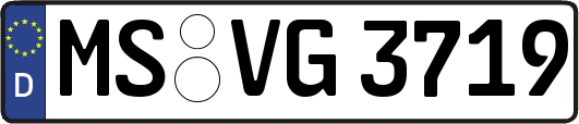 MS-VG3719