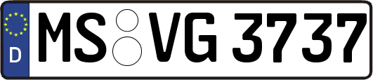 MS-VG3737