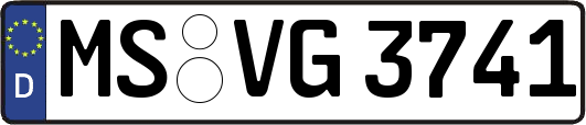 MS-VG3741