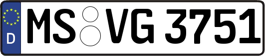 MS-VG3751