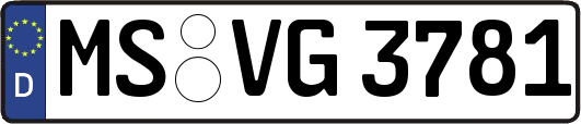 MS-VG3781