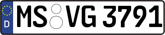 MS-VG3791