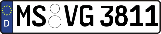 MS-VG3811