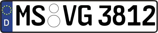 MS-VG3812