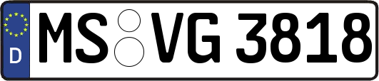 MS-VG3818