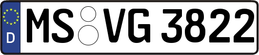 MS-VG3822