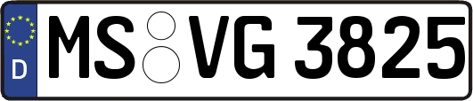 MS-VG3825