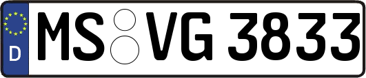 MS-VG3833