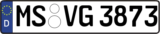 MS-VG3873