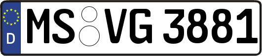 MS-VG3881