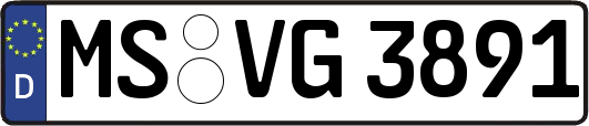 MS-VG3891