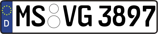 MS-VG3897