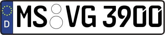 MS-VG3900