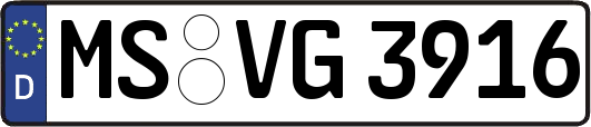 MS-VG3916