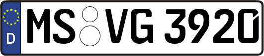 MS-VG3920