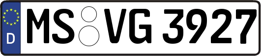 MS-VG3927