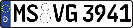 MS-VG3941