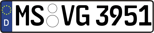 MS-VG3951