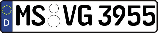 MS-VG3955