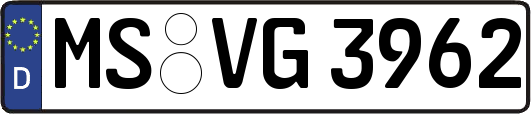 MS-VG3962