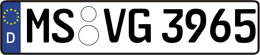 MS-VG3965