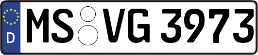 MS-VG3973