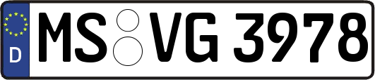MS-VG3978