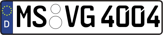 MS-VG4004