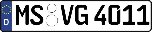 MS-VG4011
