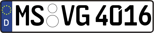 MS-VG4016