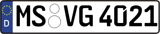 MS-VG4021