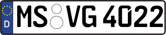 MS-VG4022