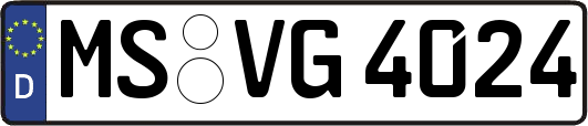 MS-VG4024