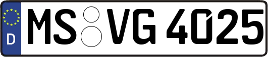 MS-VG4025