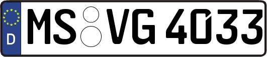 MS-VG4033