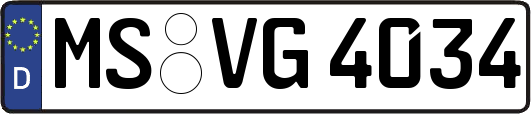MS-VG4034
