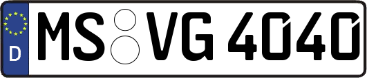 MS-VG4040