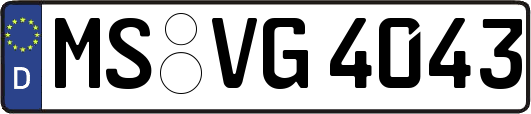 MS-VG4043