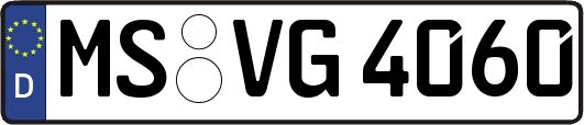 MS-VG4060