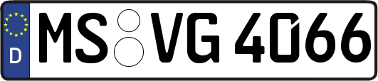 MS-VG4066