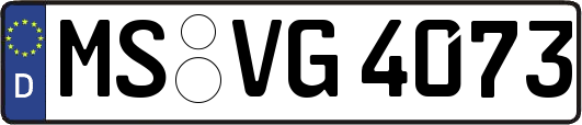 MS-VG4073