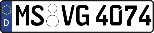 MS-VG4074