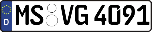 MS-VG4091