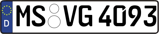 MS-VG4093